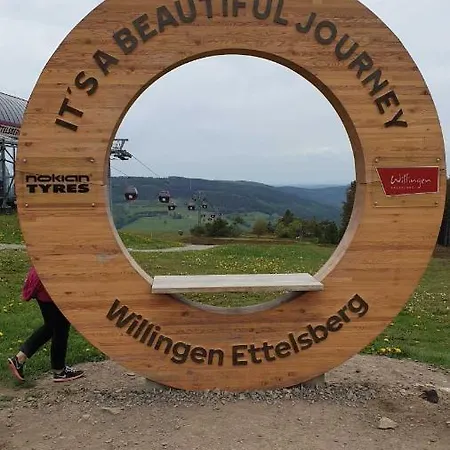 Ferienwohnung Mohnwiese Und Blumenwiese Willingen  Extérieur photo
